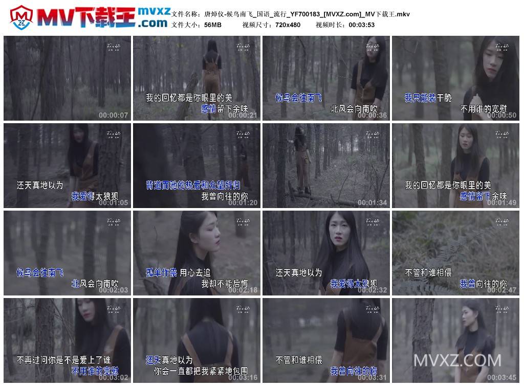 唐焯仪-候鸟南飞_国语_流行_YF700183